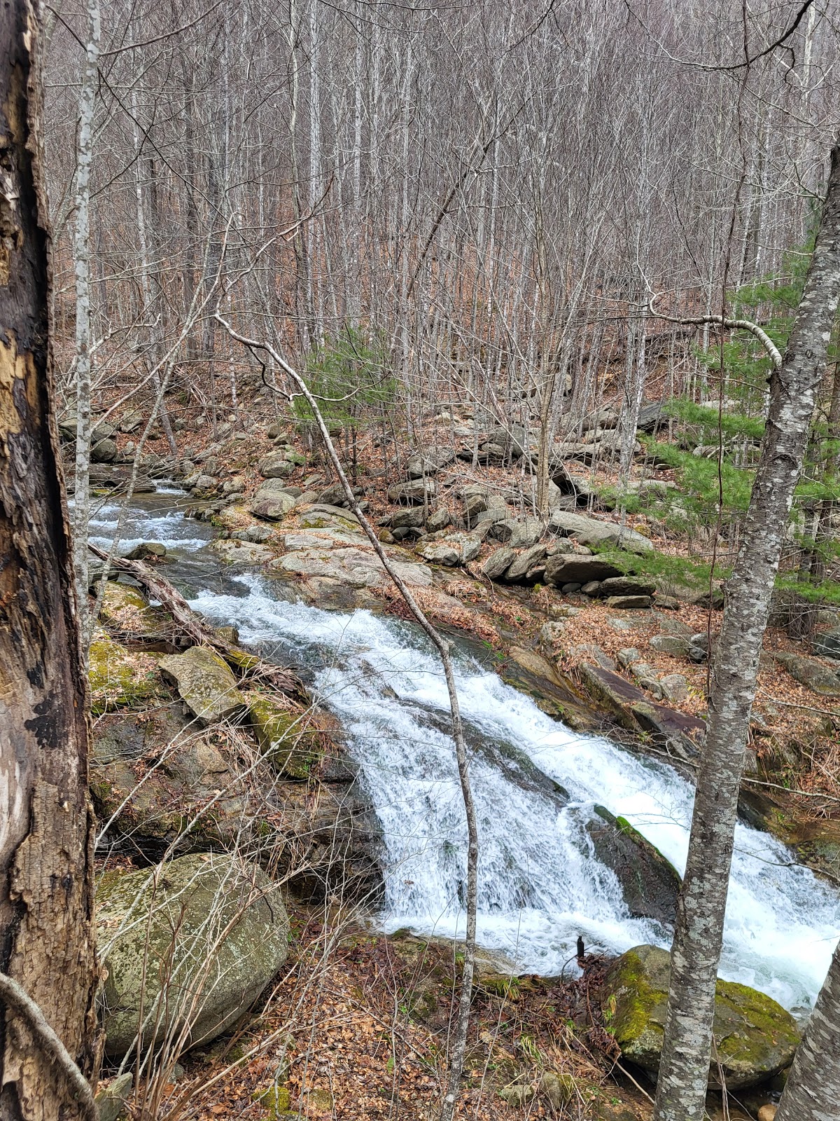 Graves Mill Trail