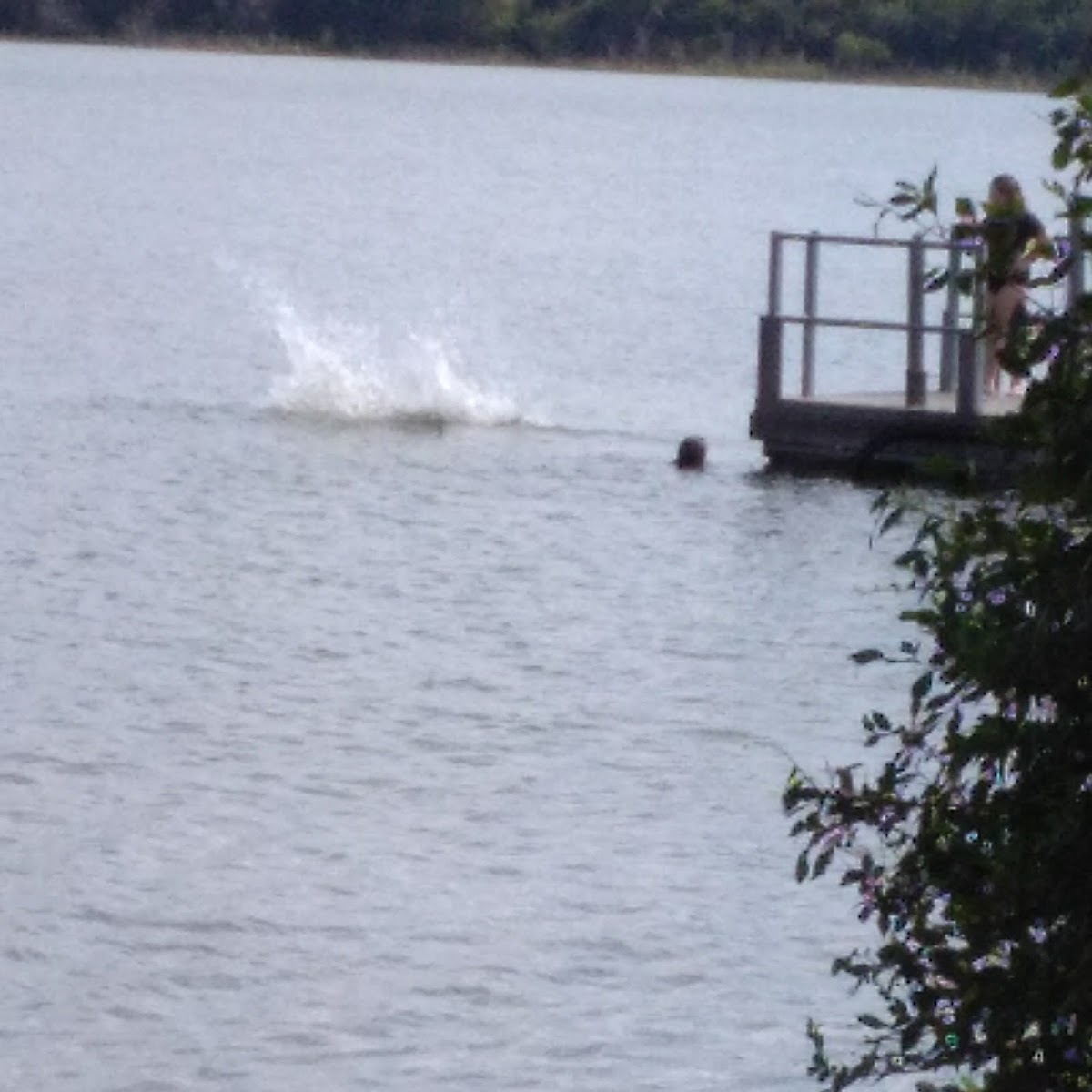 Lake Duncan