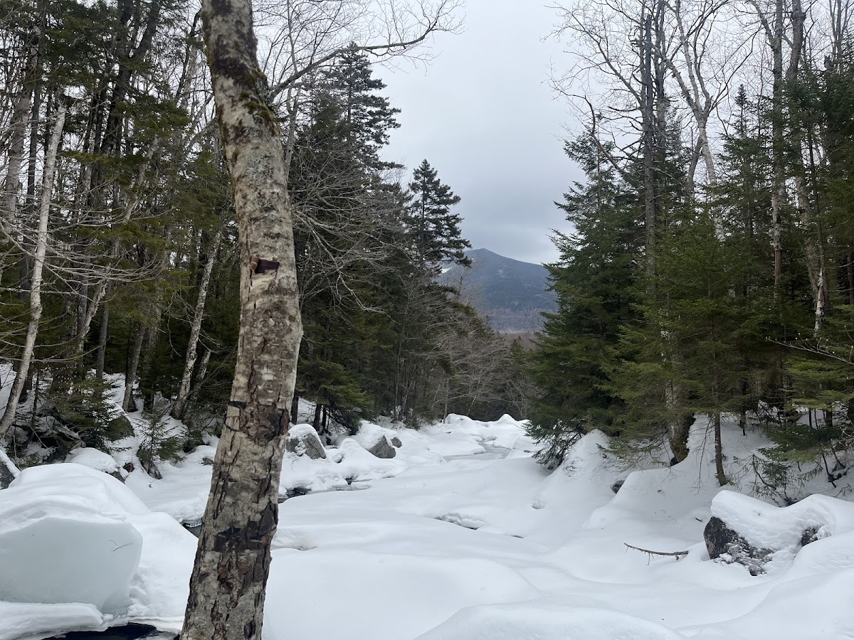 Cascade Brook