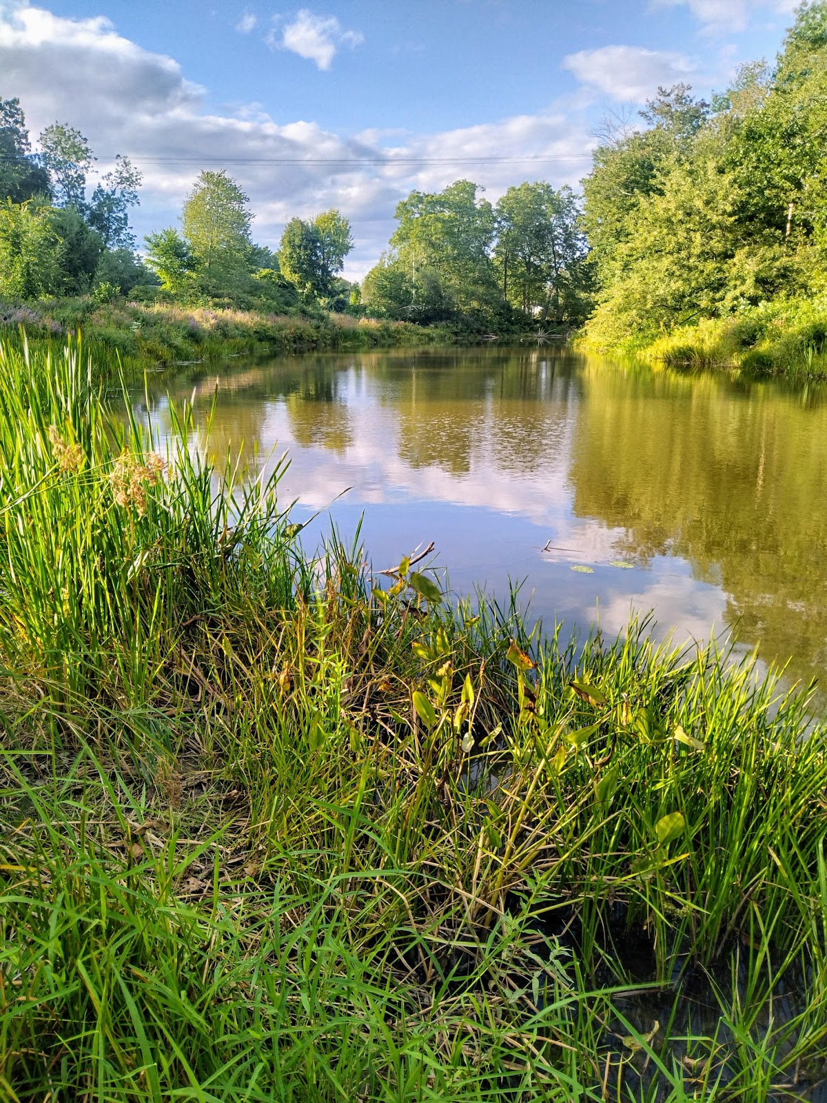 Exeter River