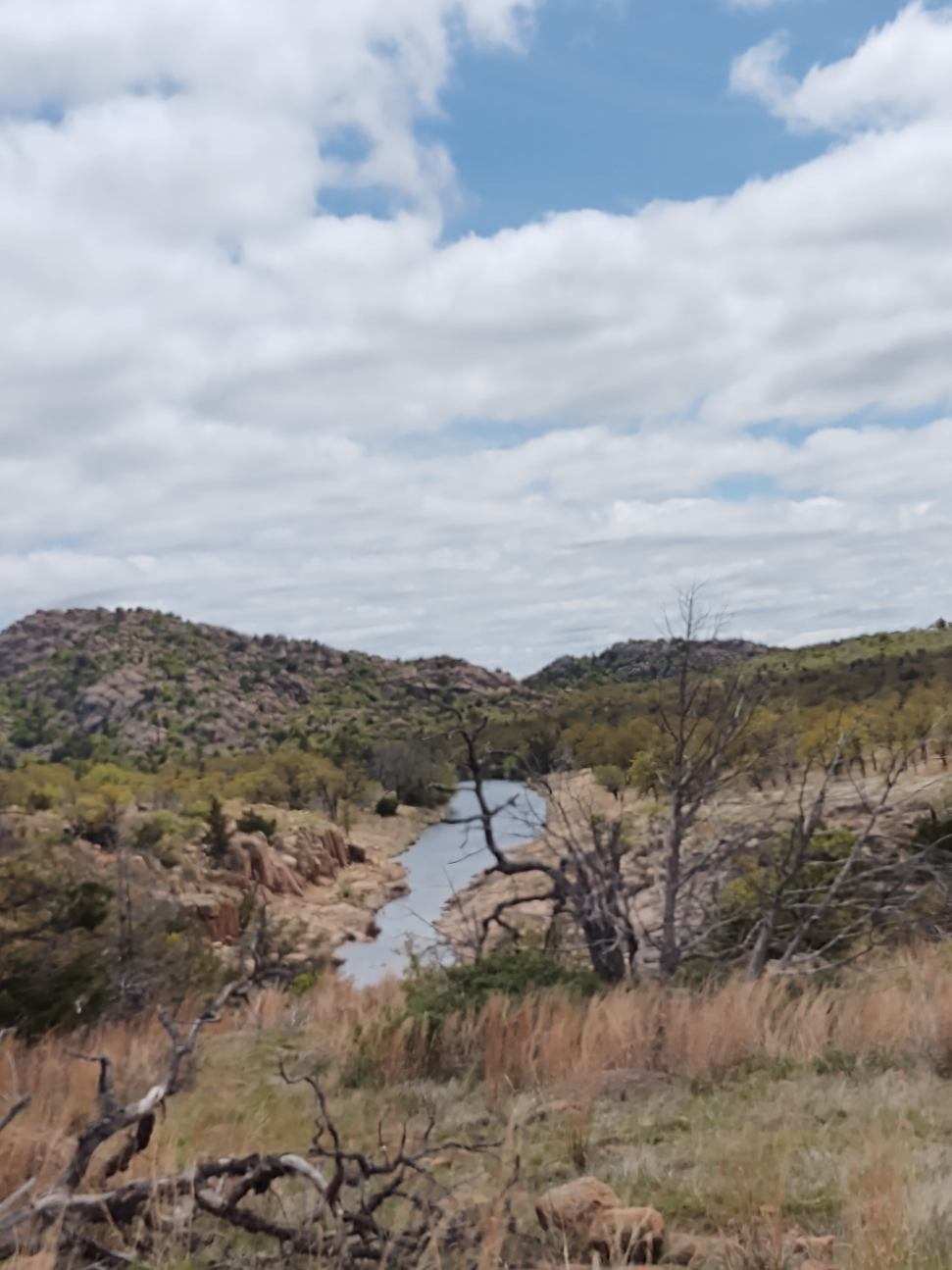 Bison Trail