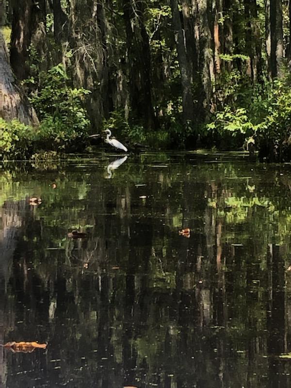 Merchants Millpond
