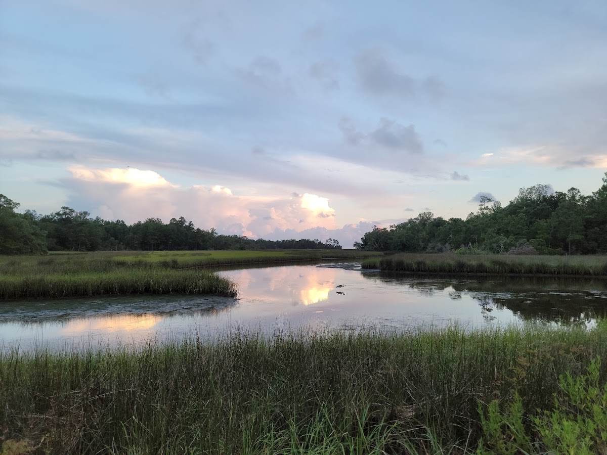 Davis Bayou