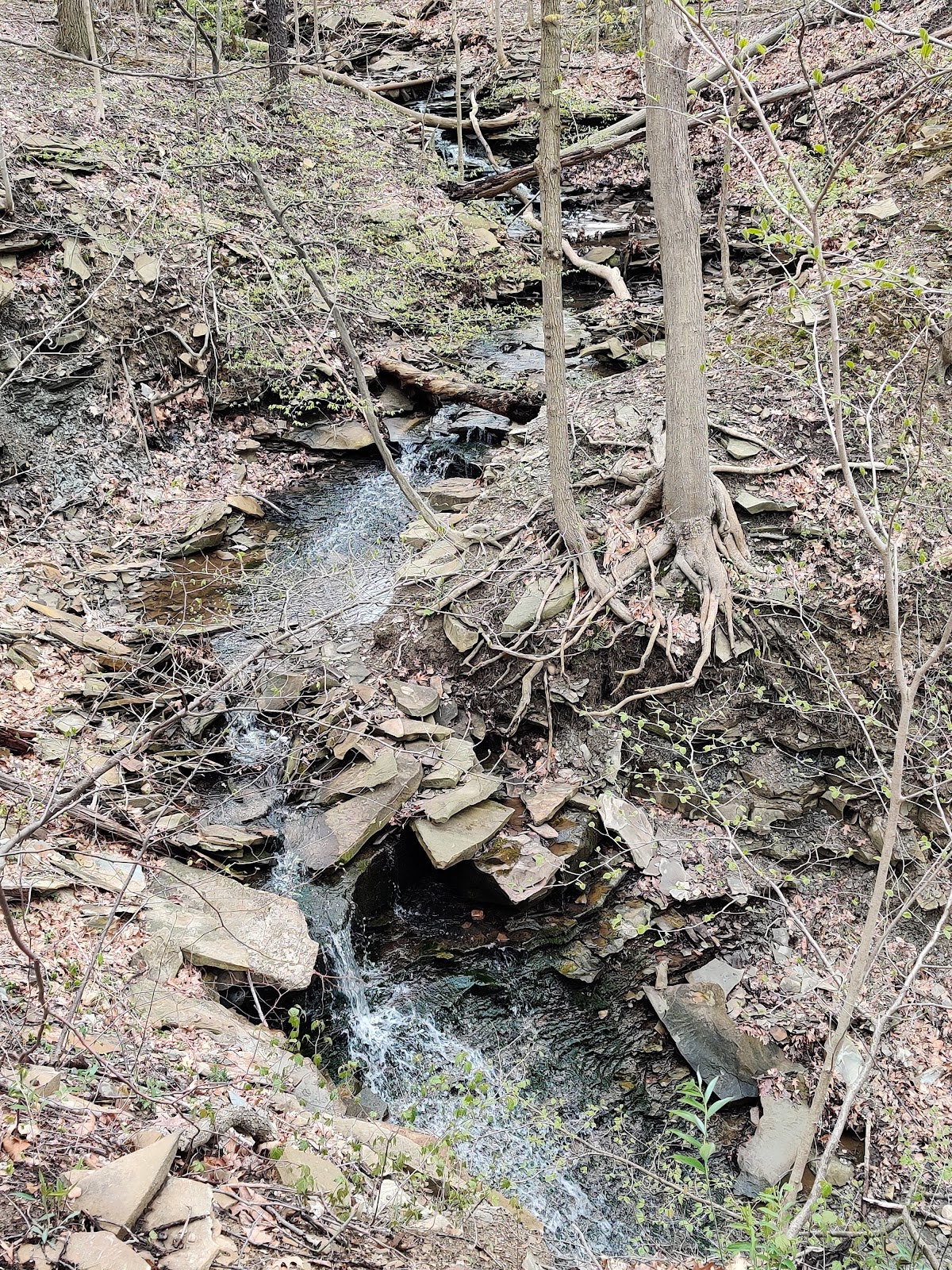 Sagamore Creek