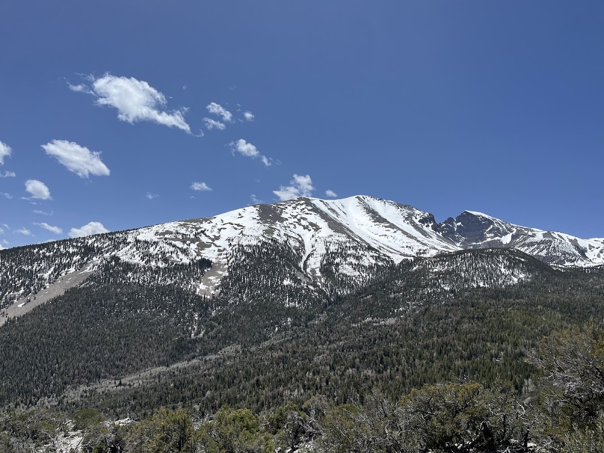 Wheeler Peak Summit Trail