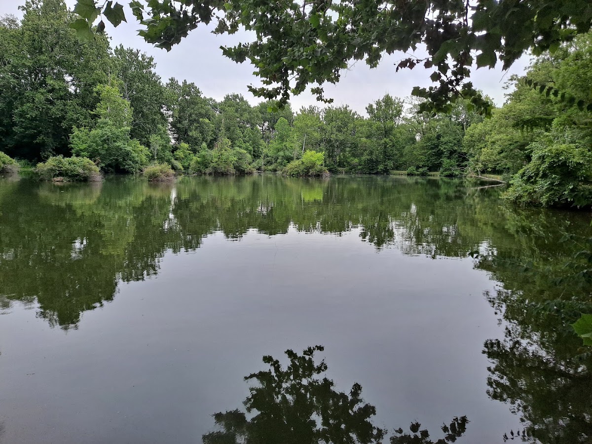 Deer Creek
