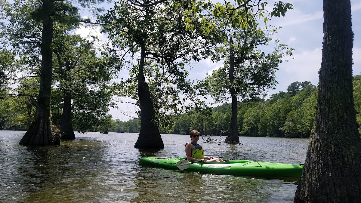 Stumpy Lake