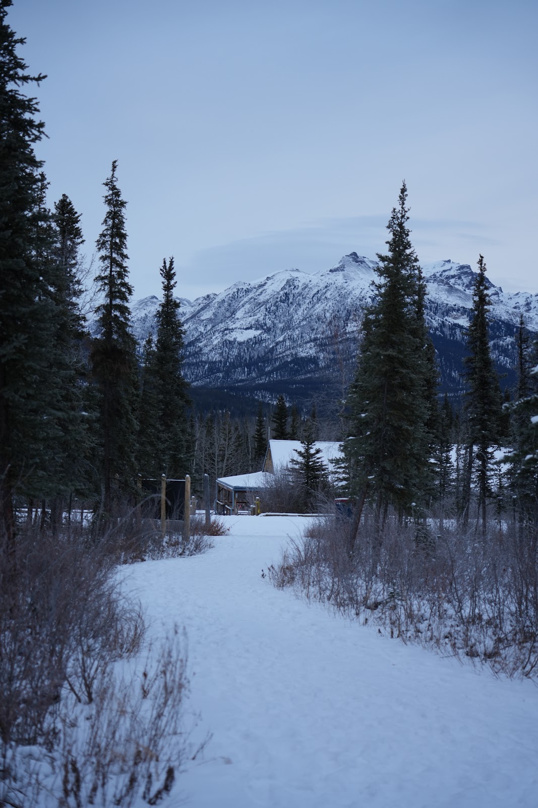 McKinley Station Trail