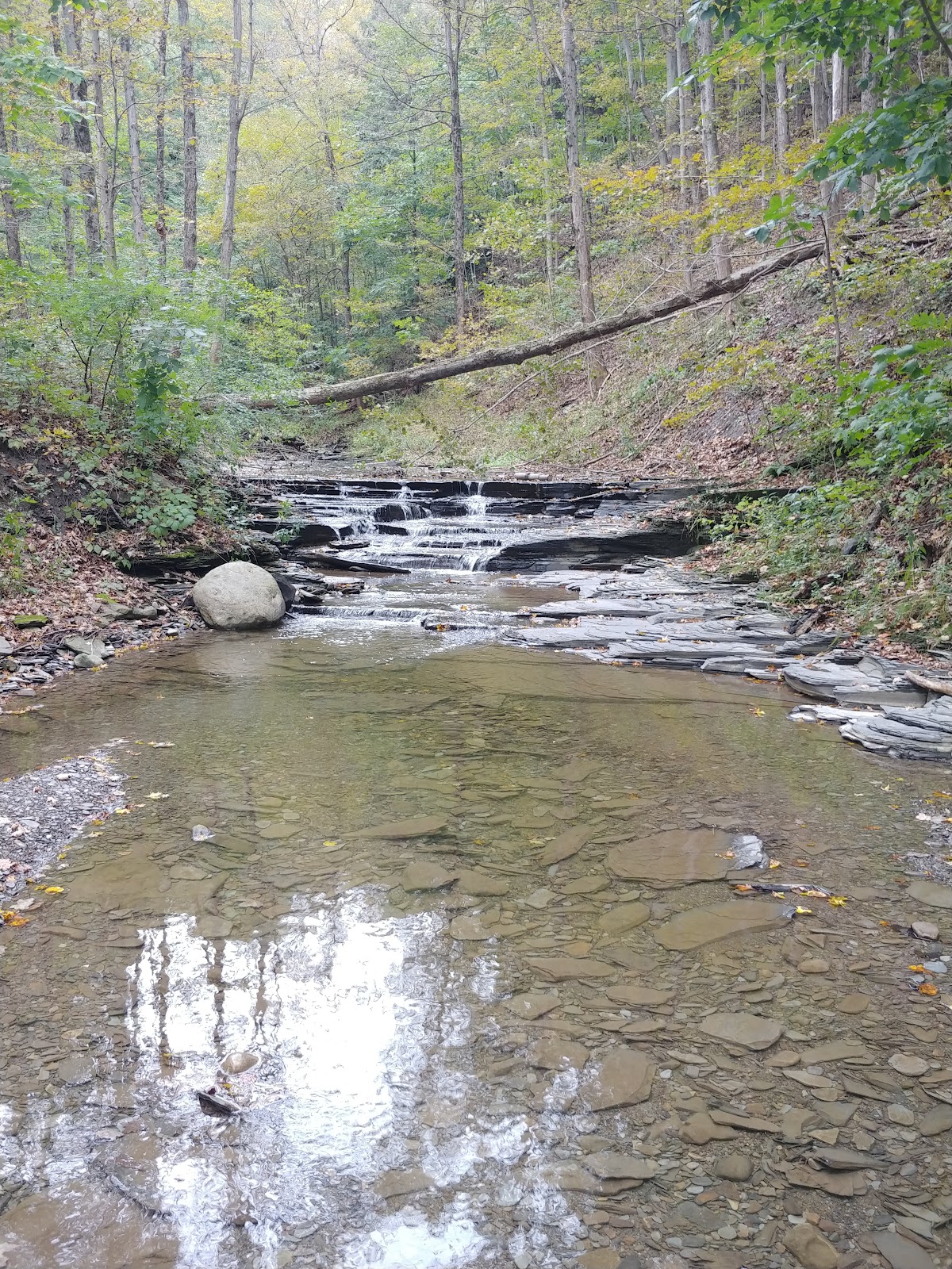 Oatka Creek