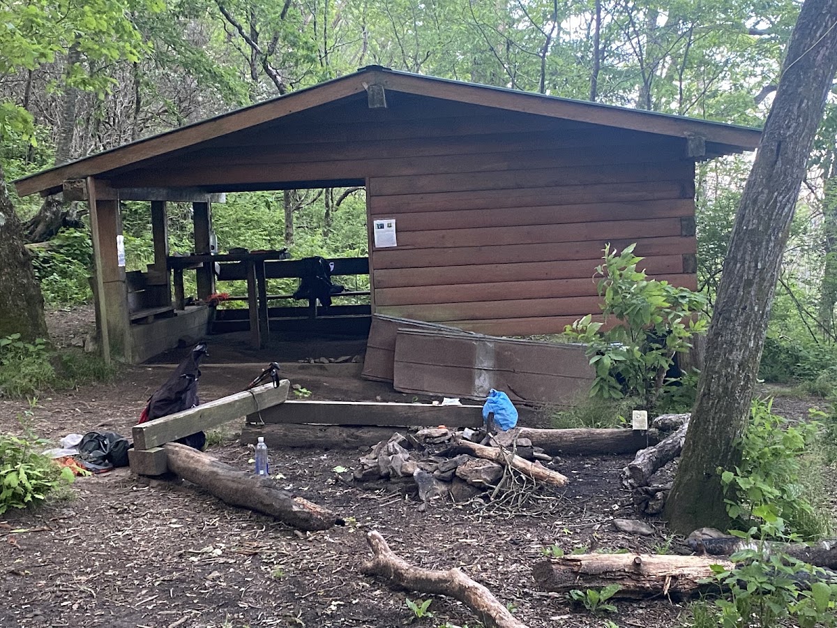 Carter Gap Trail