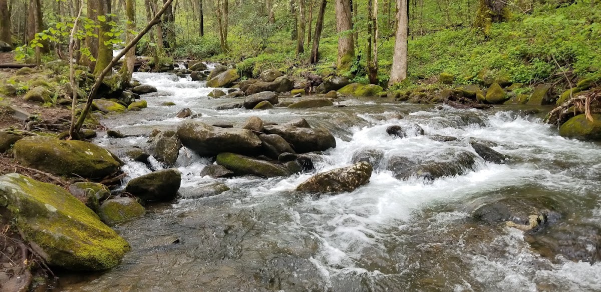 Le Conte Creek