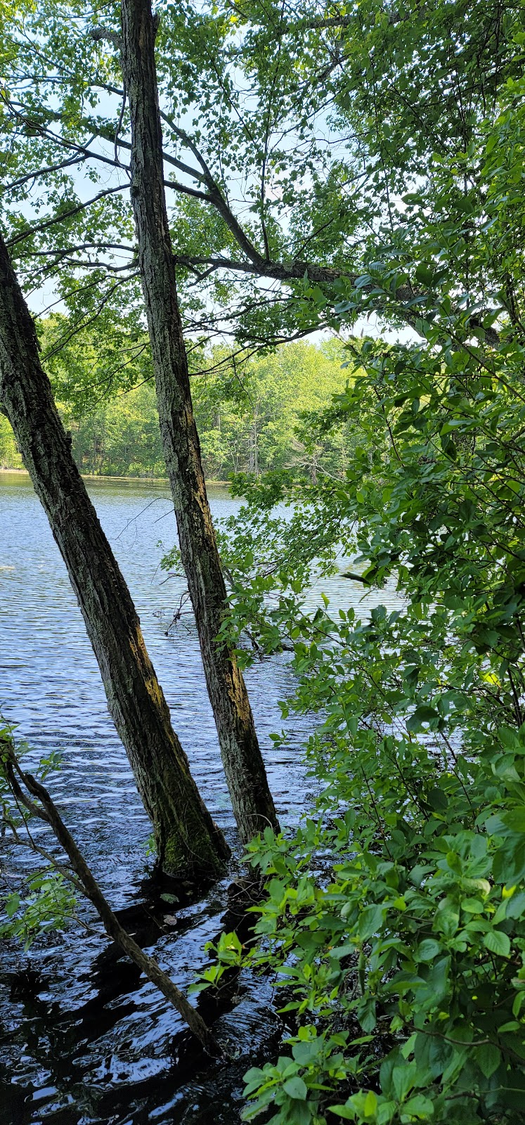 Knowlton Pond