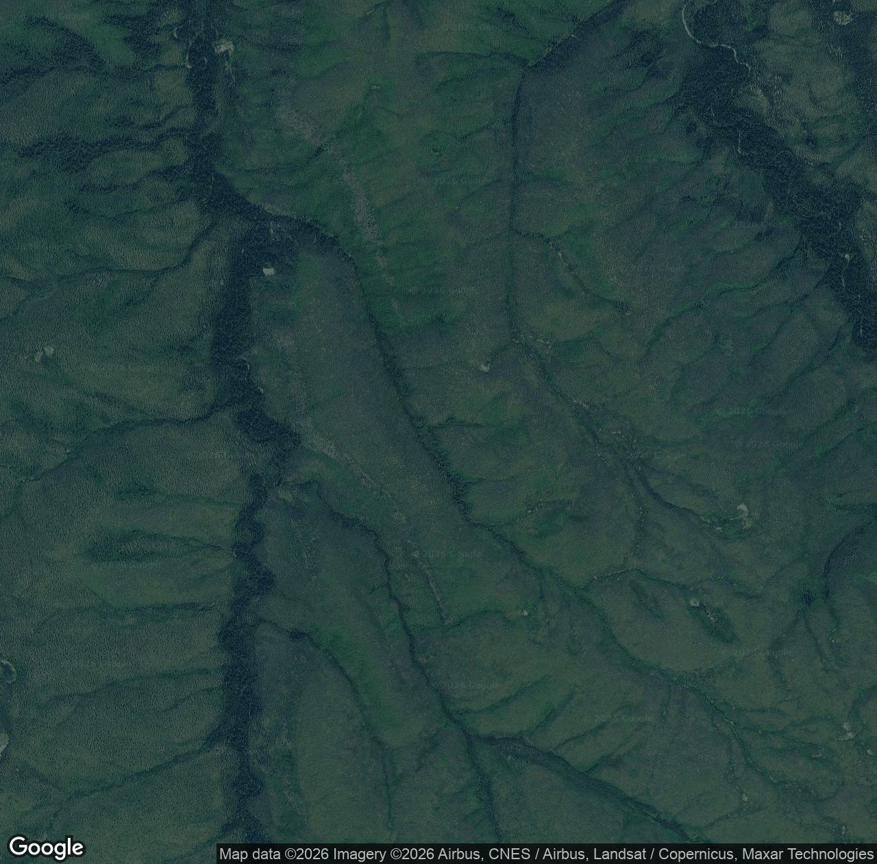 Moose Creek