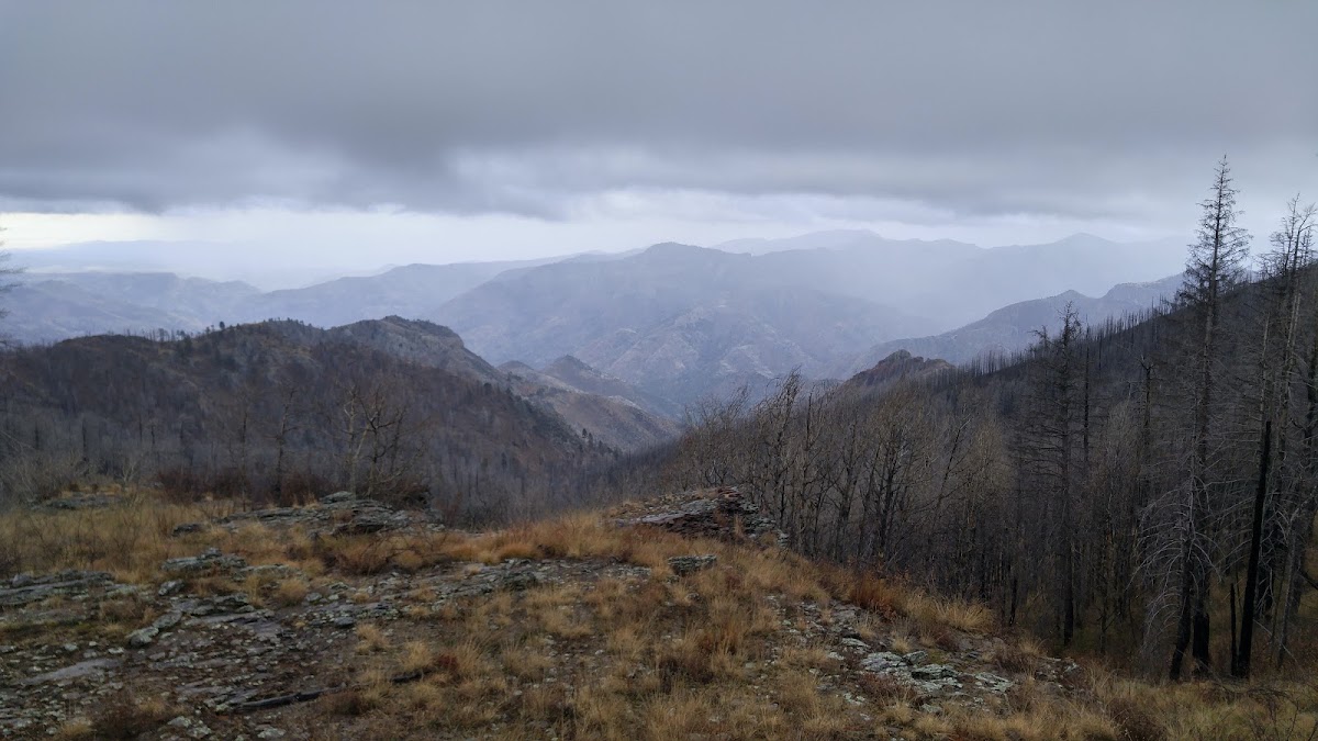 Holden Prong Trail #114