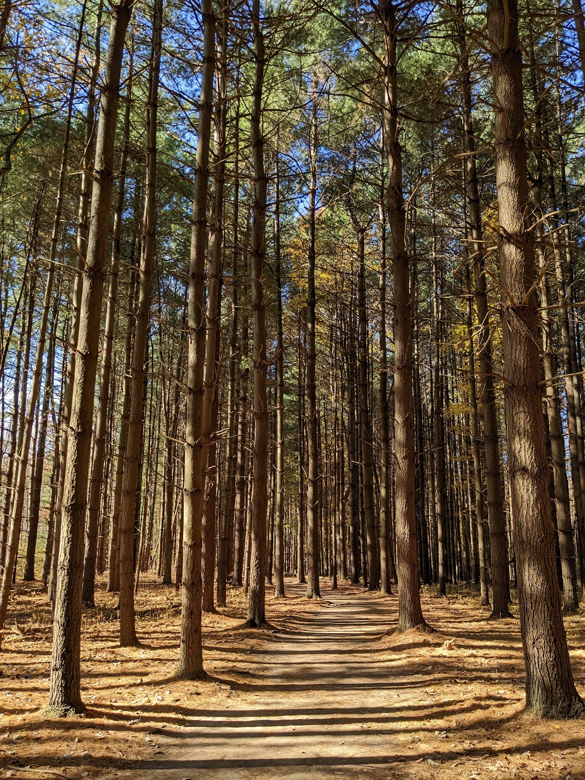 Silver Creek Metro Park