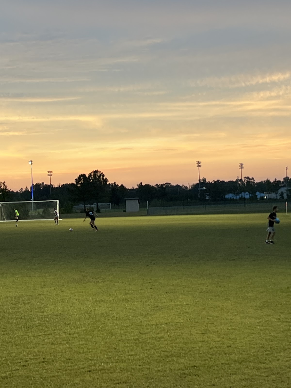 Tatum Park