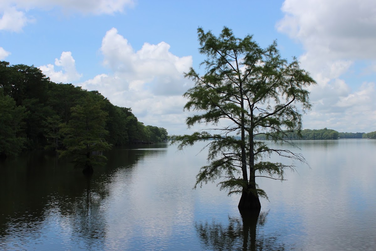Lake Providence