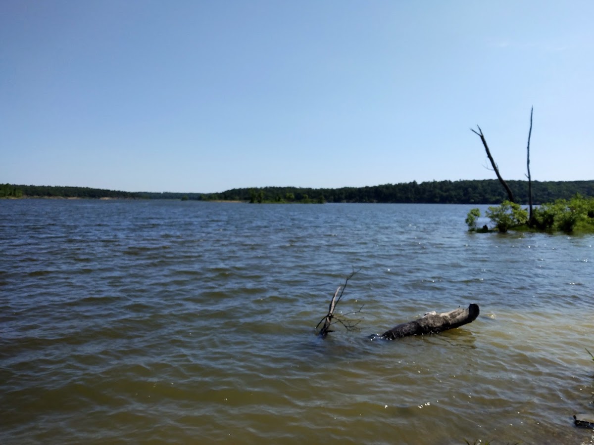 De Queen Lake