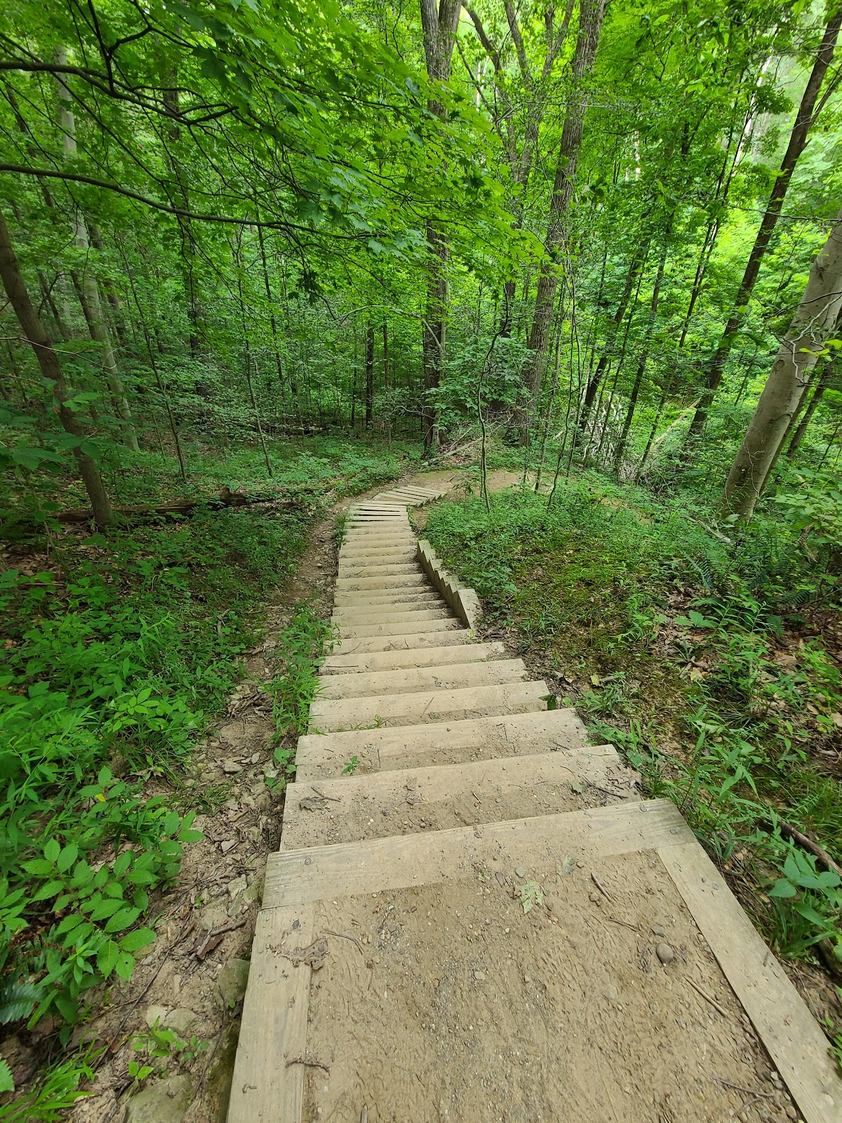 Salt Run Trail
