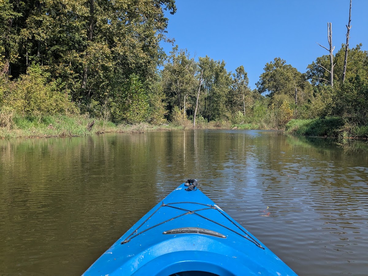 Youngs Creek