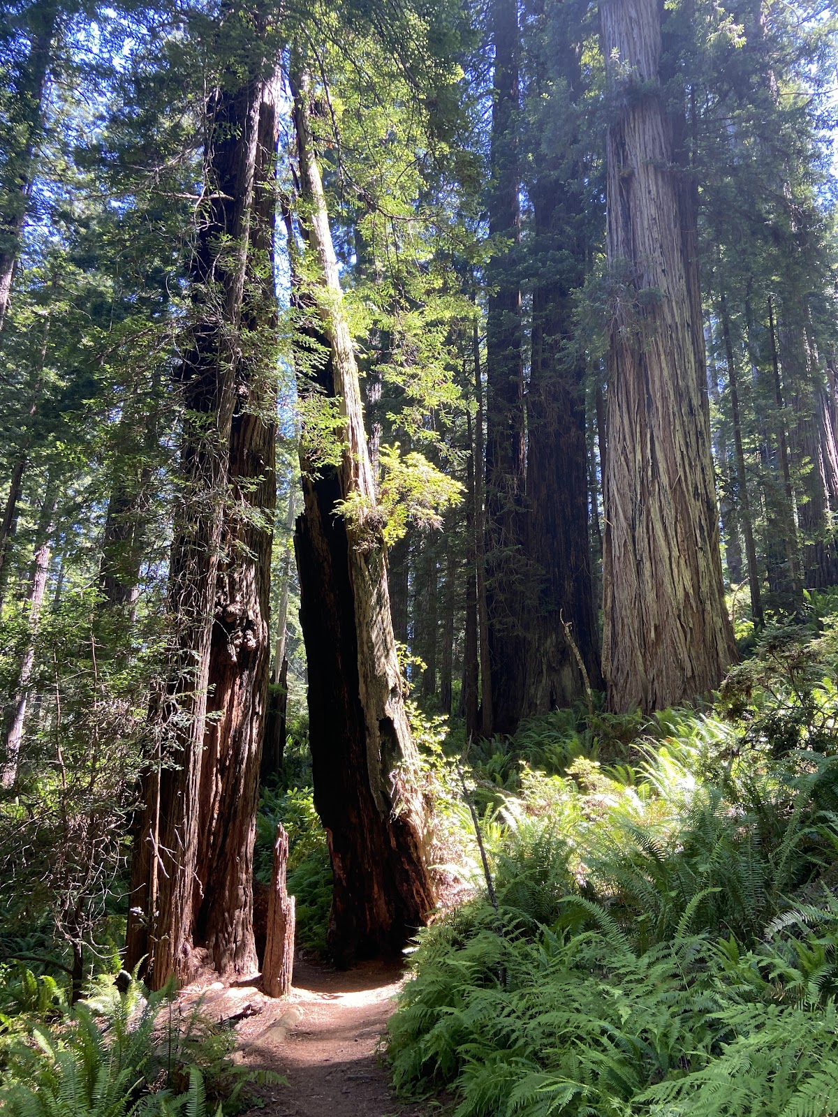 Ah-Pah Interpretive Trail