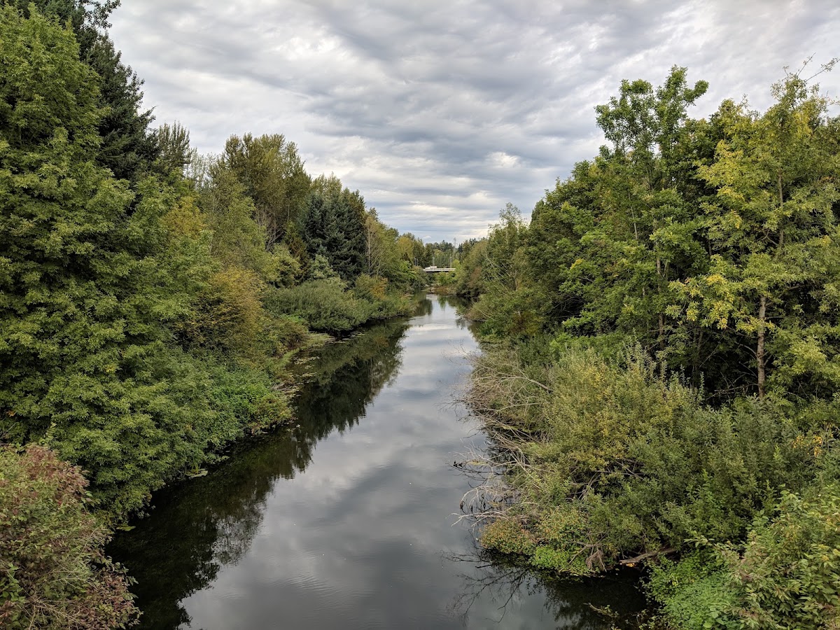 Sammamish River