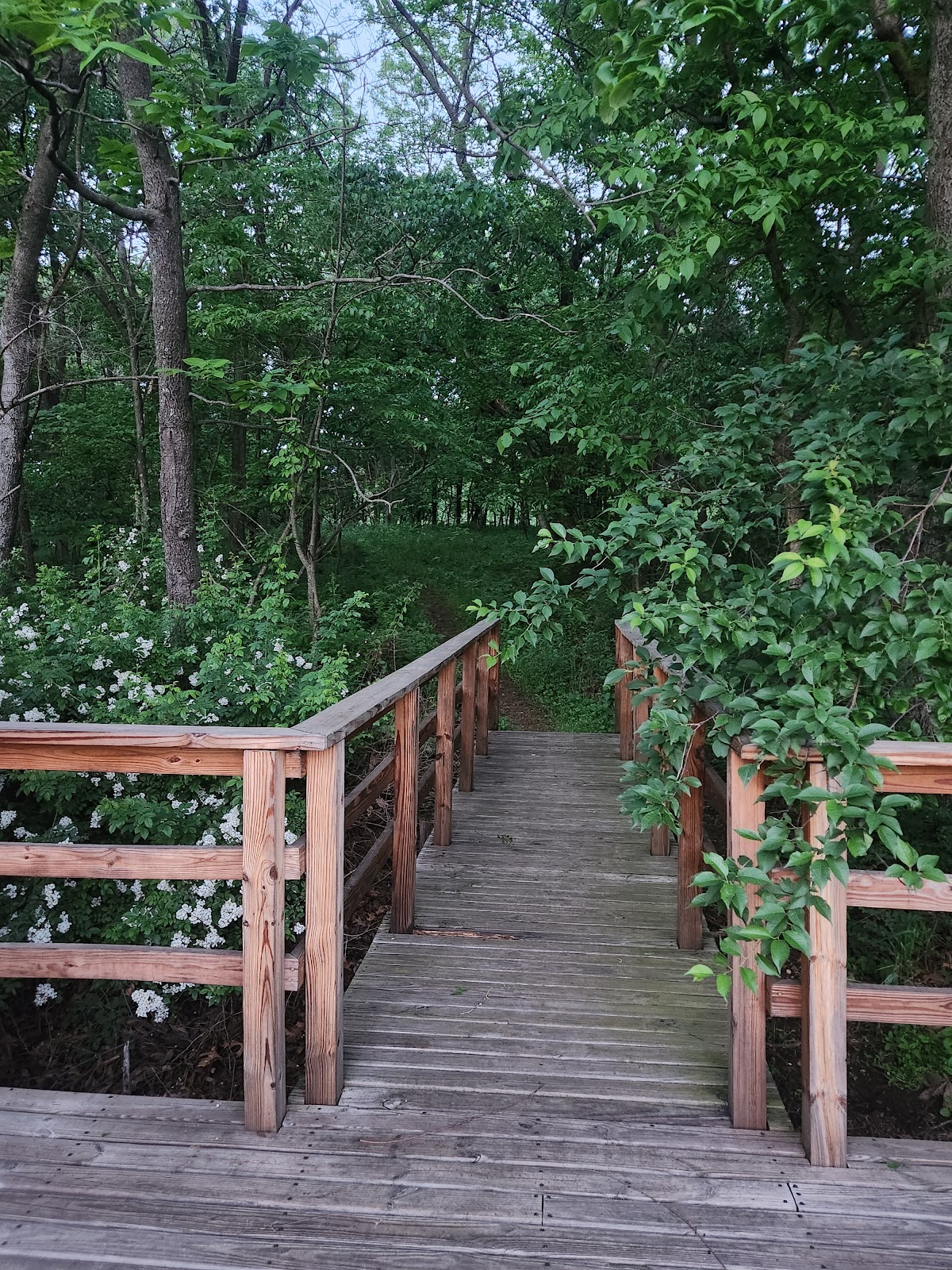 Lake Flint Creek