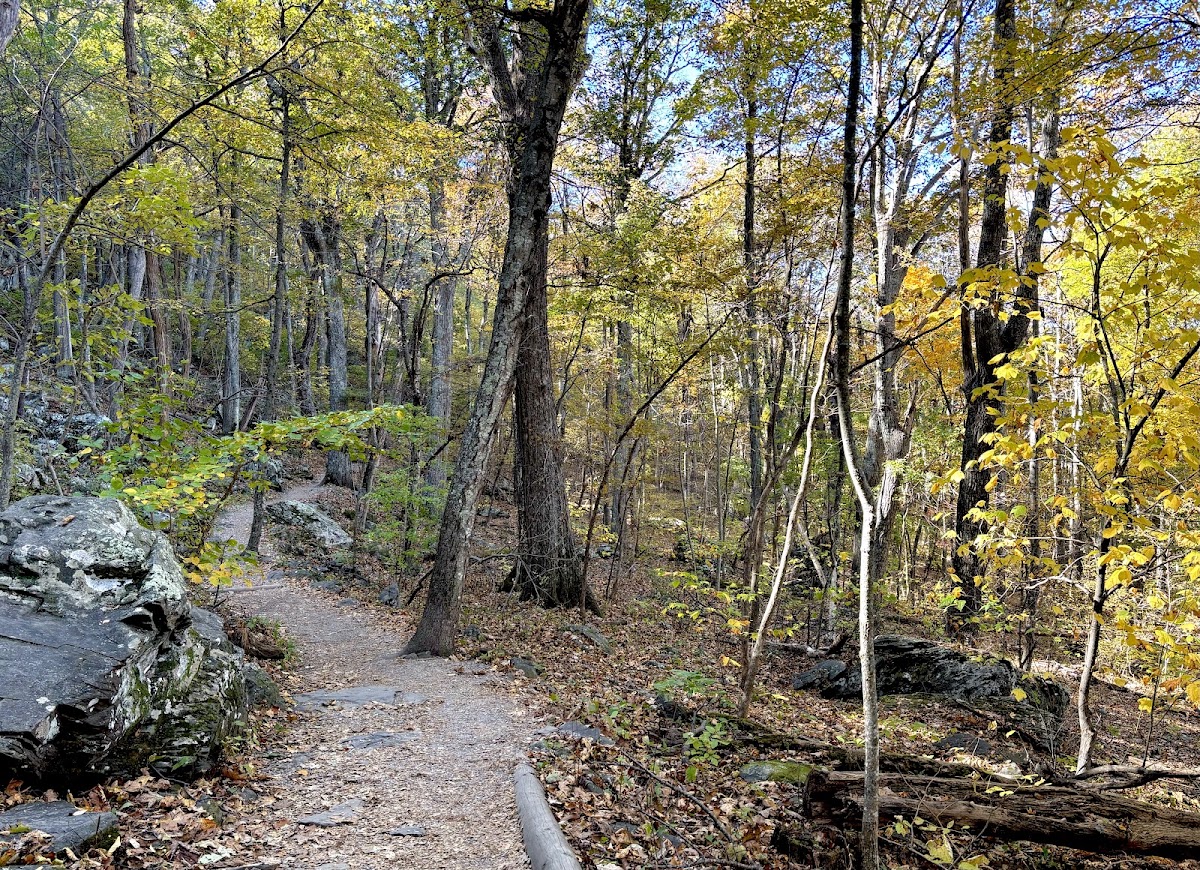 Humpback Rocks Trail