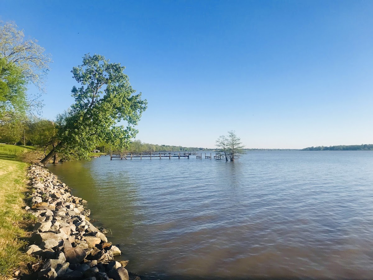 Lake Chicot