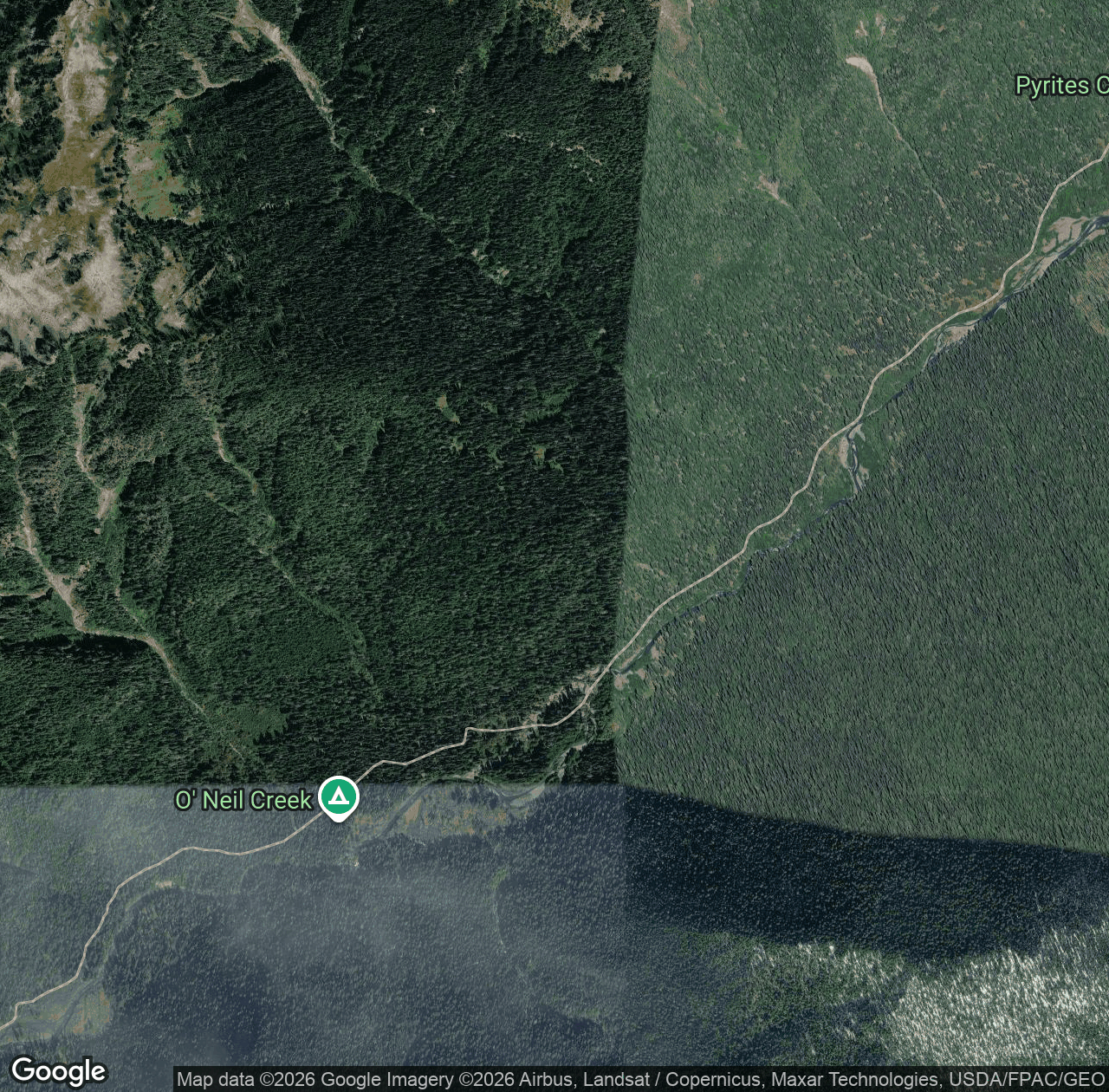 East Fork Quinault River Trail