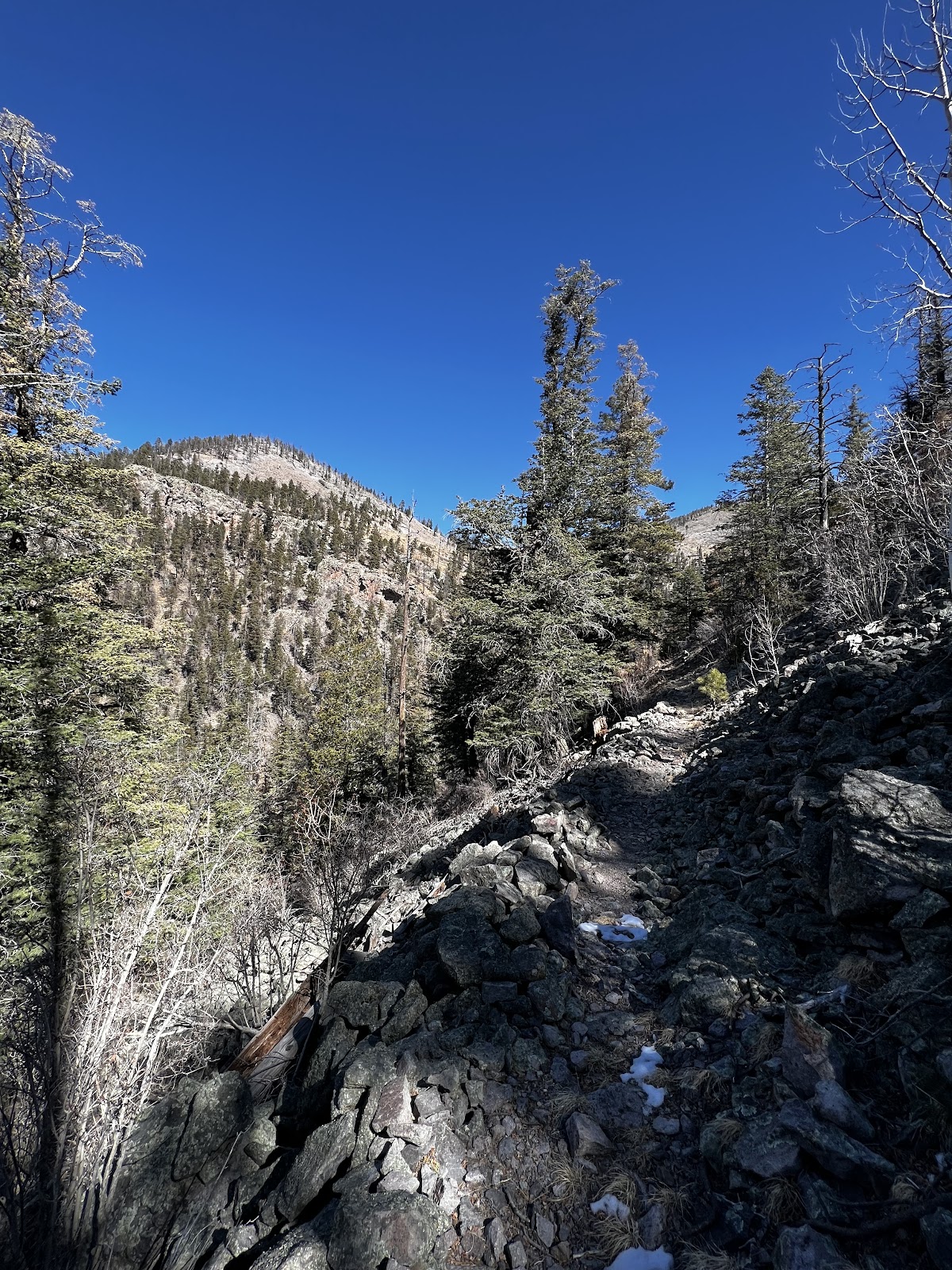 Apache Kid Trail #43