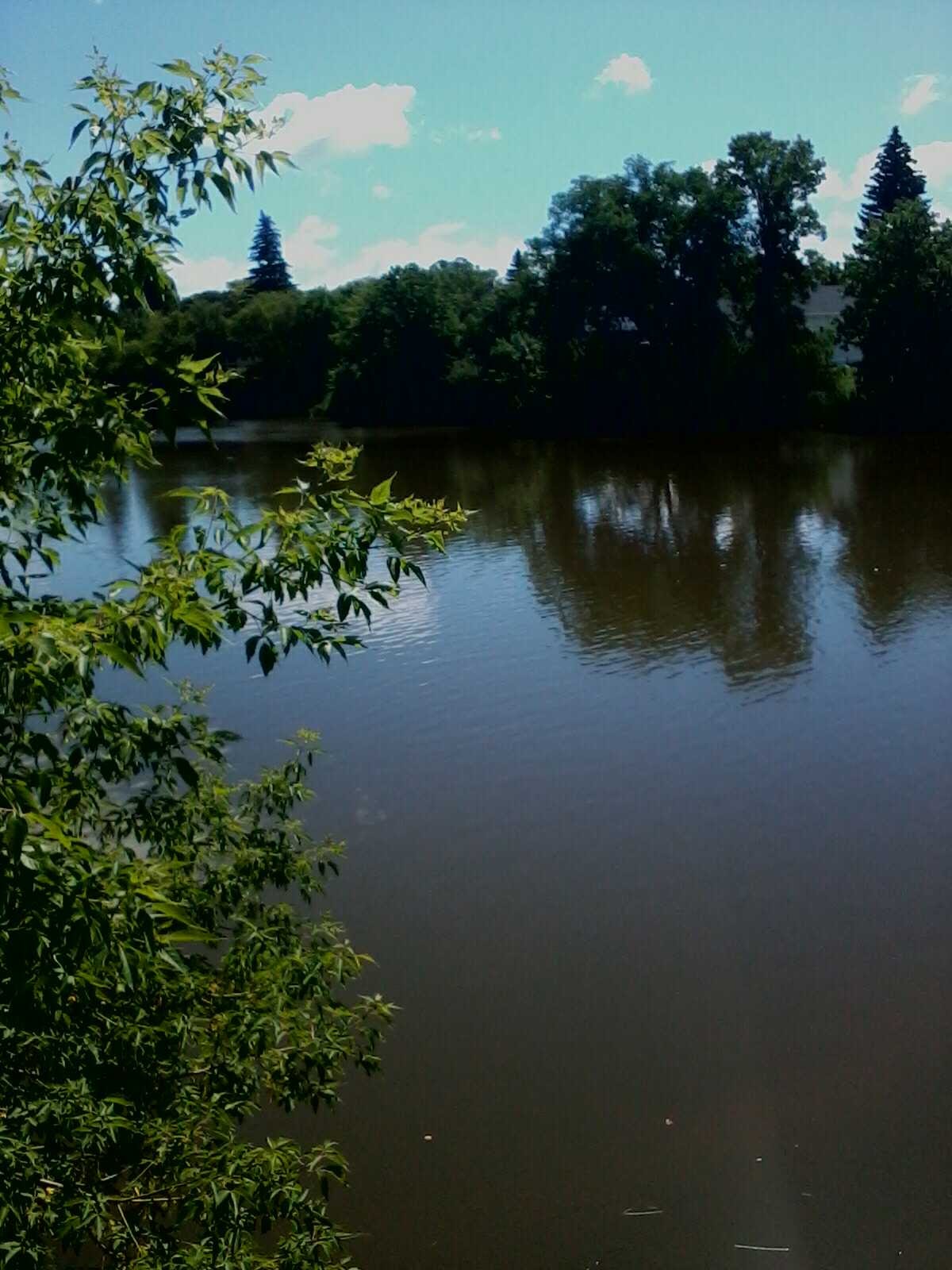Thief River