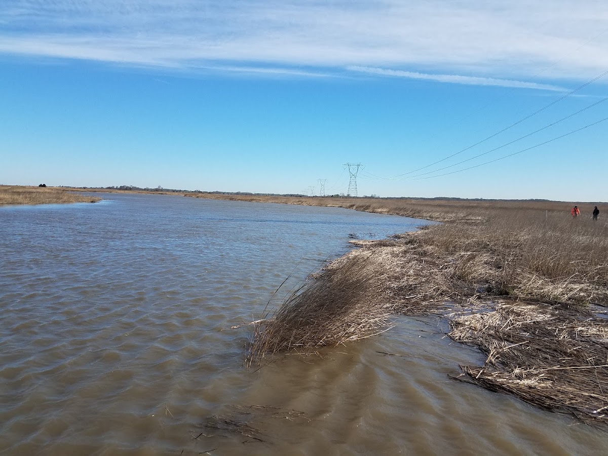 Alloway Creek