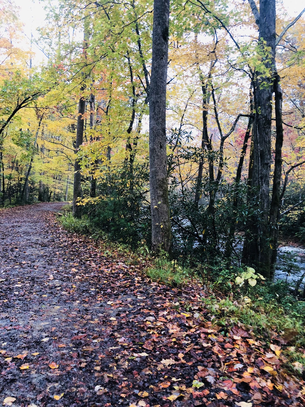 Little River
