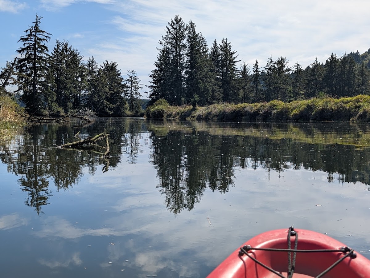 North Fork Siuslaw River