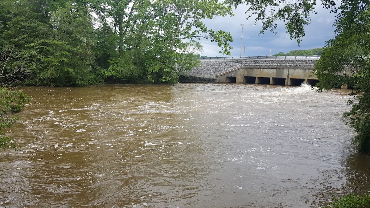 Cohansey River