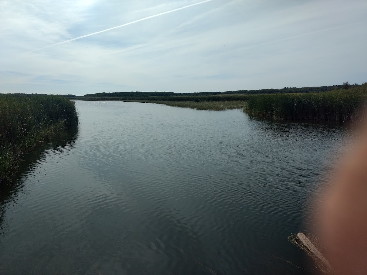 Red Lake River