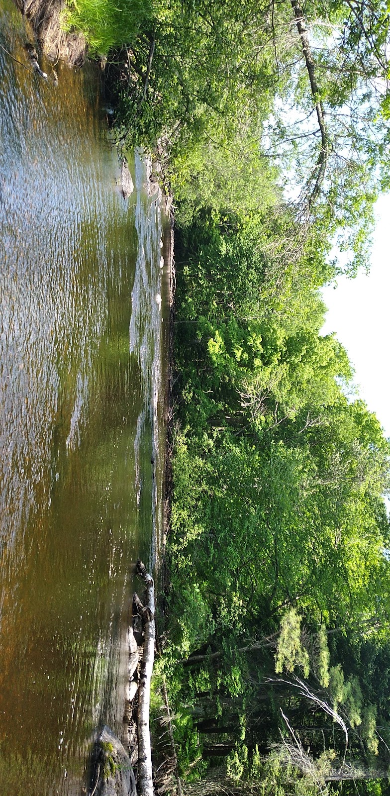 Popple River
