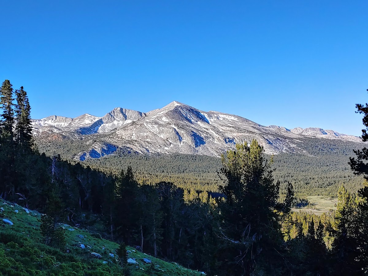 Mount Dana Trail