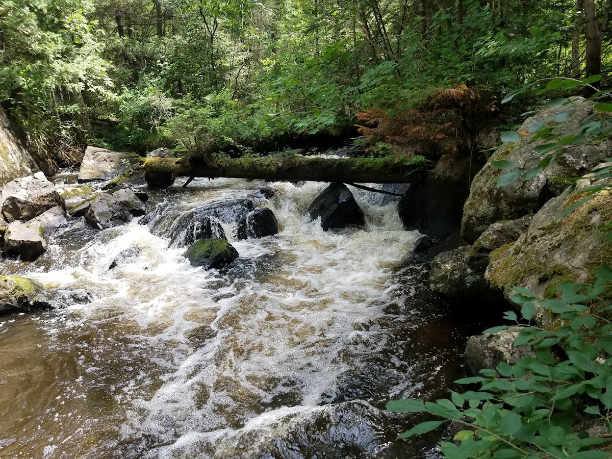 Brule Creek