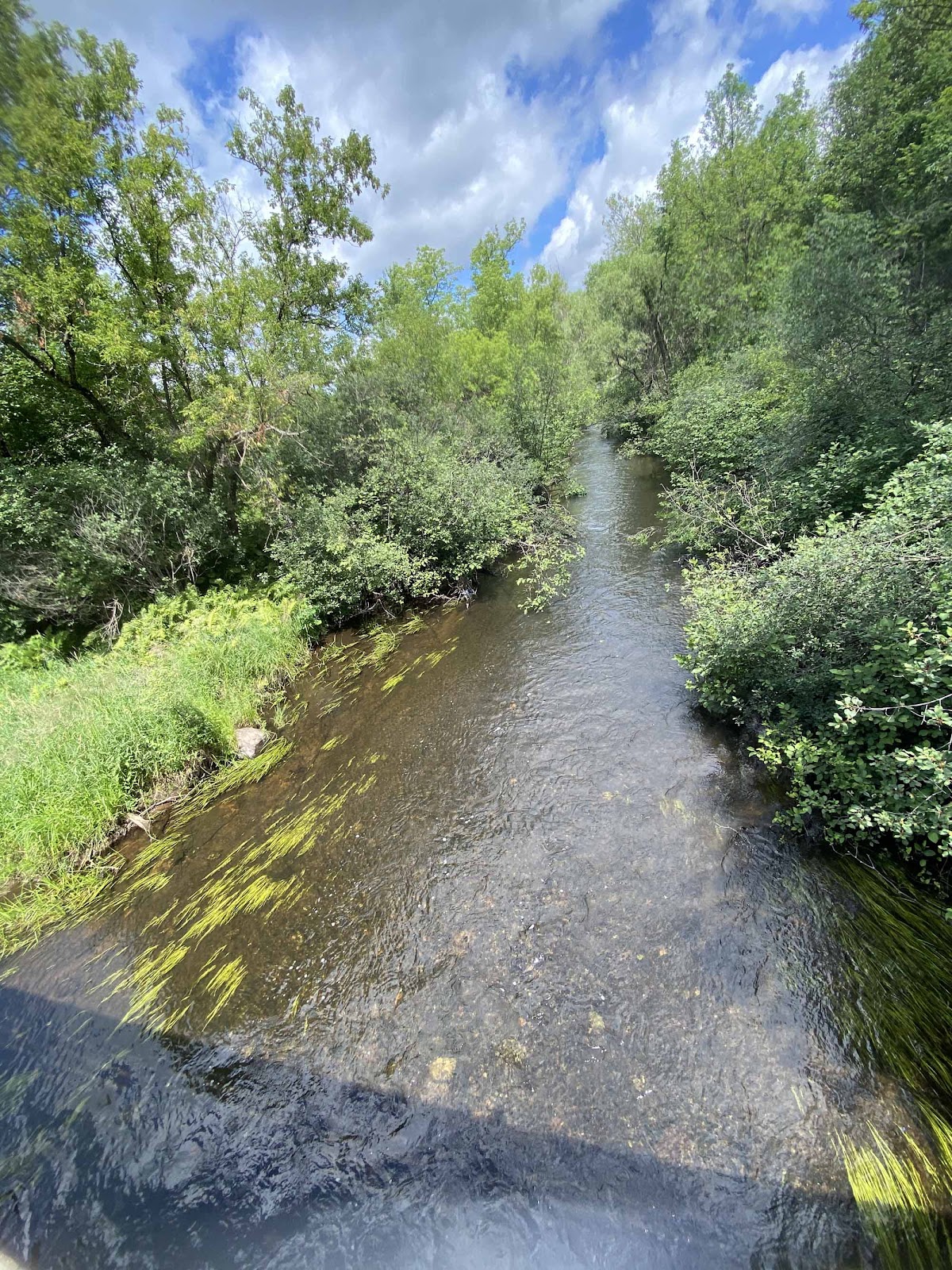 Iron River - Marenisco Trail