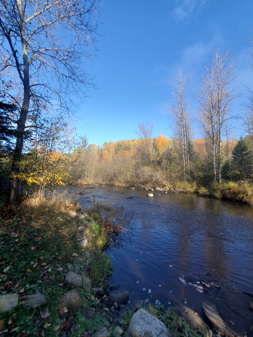 Iron River