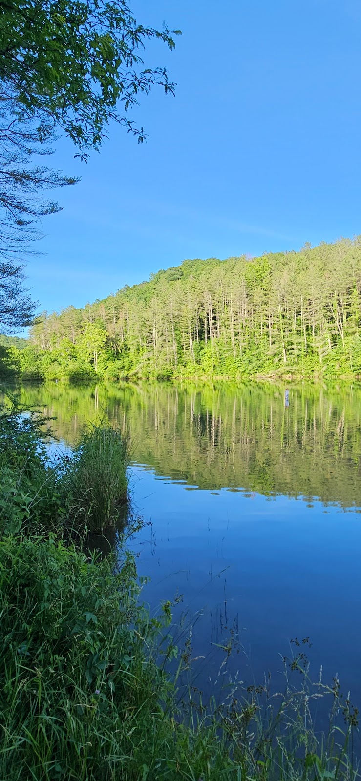 Dow Lake
