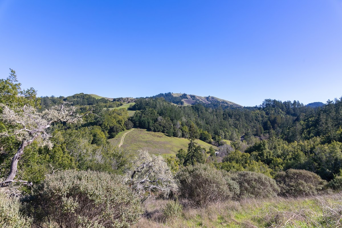 Jewell Trail