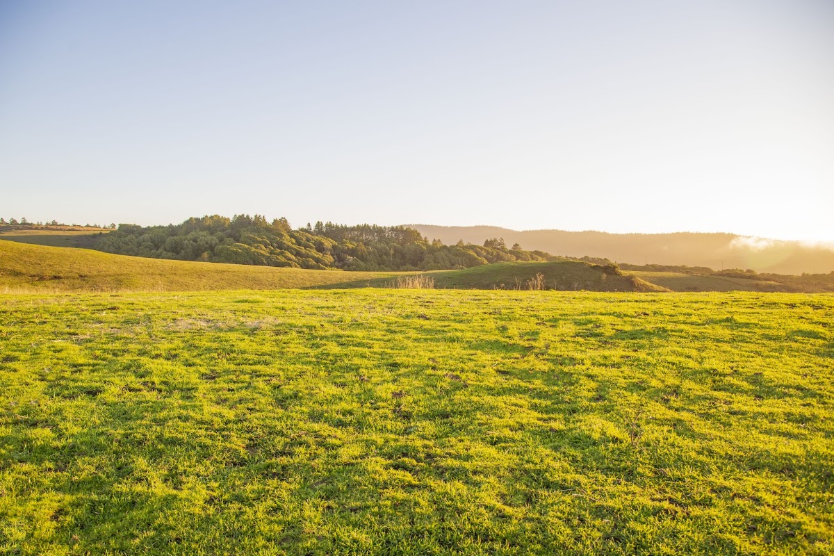 Bolinas Ridge Trail