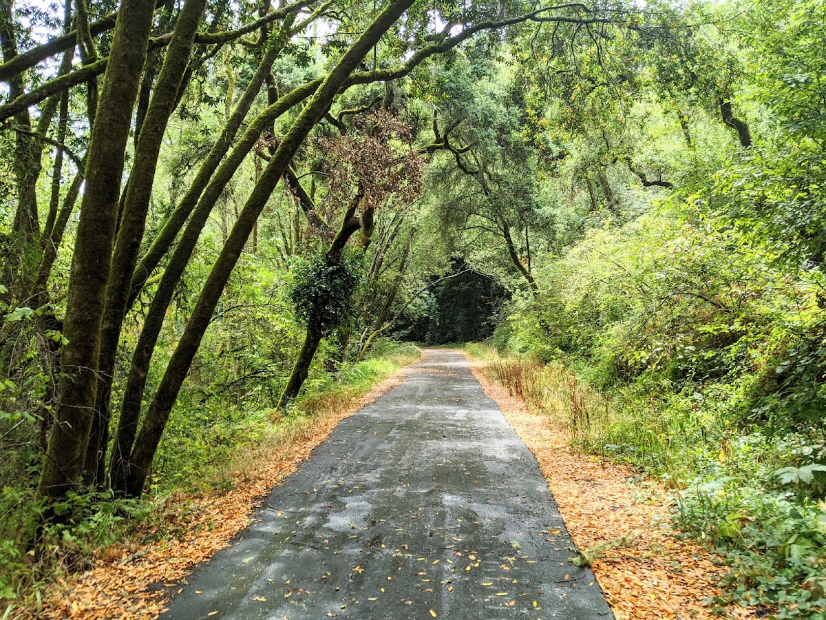 Cross Marin Trail
