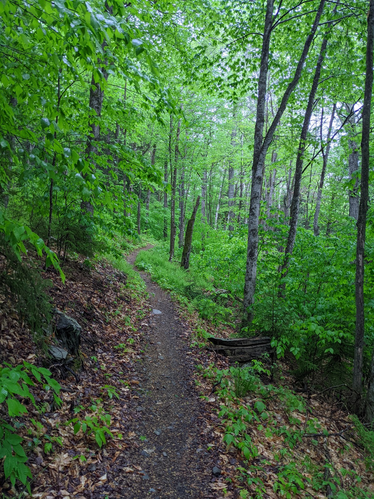 USFS 349