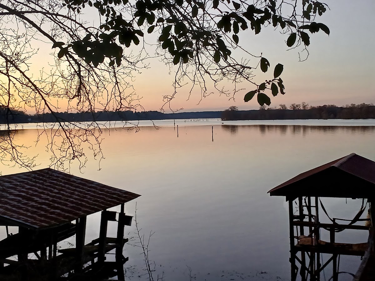 Lake D'Arbonne