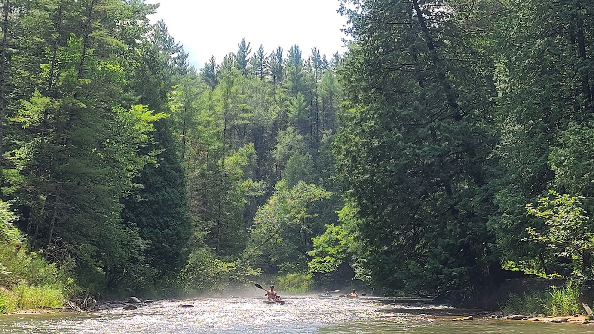 Pine River