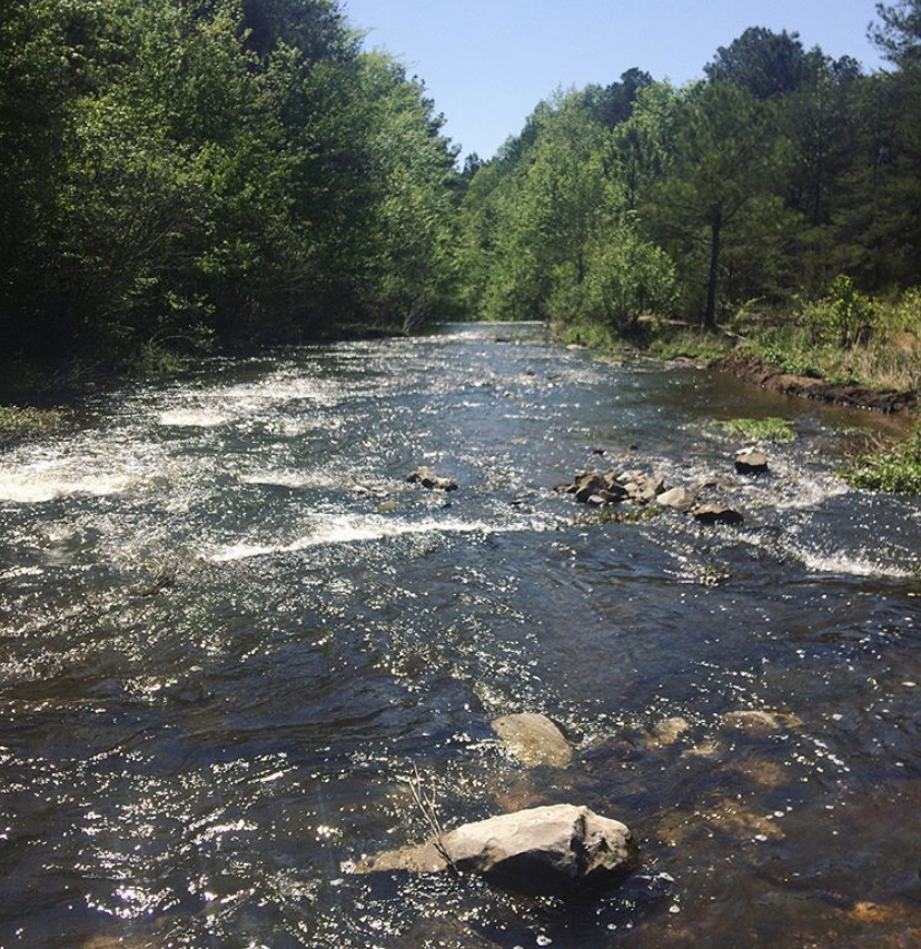 Brushy Creek